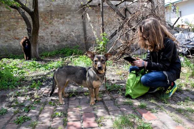В Киеве впервые показали, как собаки могут помочь особенным детям. киев, инвалидность, кинестерапия, параспортивные игры dog puller, соревнование