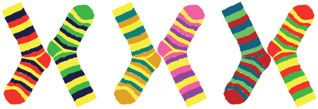 21 березня — Міжнародний день людини з синдромом Дауна. навчання, синдром дауна, спілкування, суспільство, інтелект, striped, clothing, floor, sock, creativity, colorful, art, pattern. A close up of a sock