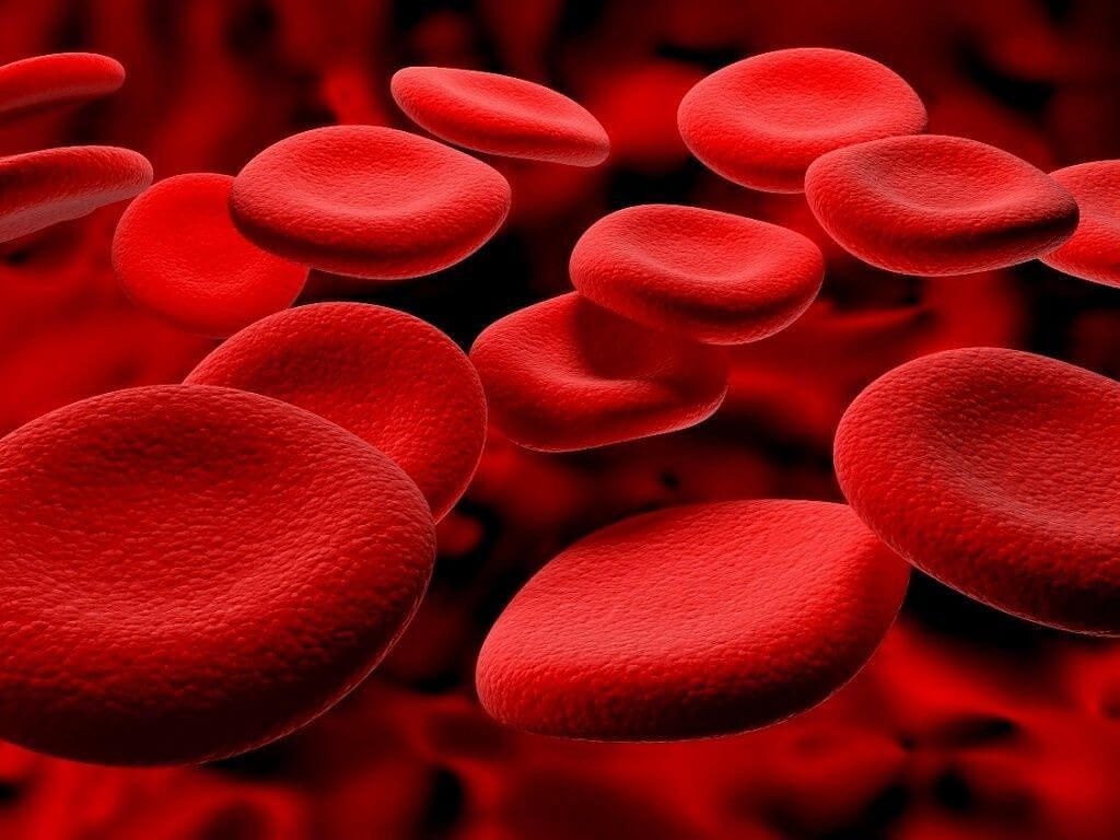 17 квітня — Всесвітній день боротьби з гемофілією. гемофілія, захворювання, згортання крові, порушення, хвороба, closeup, abstract. A close up of a red background