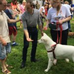 Собака як лікар: львівські чотирилапі допомагають у реабілітації людей (ФОТО)