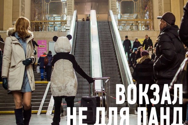 В Киеве панда тестирует пандусы: что известно о проекте. доступно.ua, киев, доступность, панда, пандус