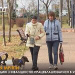 Як працевлаштуватися людині з інвалідністю в Україні (ВІДЕО)