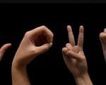На місяць продовжено термін громадського обговорення Правил титрування та перекладу на жестову мову матеріалів передвиборної агітації у ЗМІ. національна рада, жестова мова, обговорення, переклад, титрування