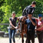 У Черкасах розвивають іпотерапію – реабілітацію з допомогою коней (ФОТО)
