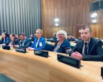Леся Петрівська взяла участь у 15-й сесії конференції держав – учасниць Конвенції про права осіб з інвалідністю. конвенція, леся петрівська, допомога, конференція, інвалідність