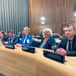 Леся Петрівська взяла участь у 15-й сесії конференції держав – учасниць Конвенції про права осіб з інвалідністю