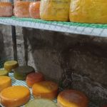 Тонна молока в день. Як соціальна ферма на Львівщині робить сир і допомагає дітям з інвалідністю (ФОТО)