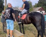 На Полтавщині проводять заняття з верхової їзди на конях для реабілітації військових (ФОТО). полтавщина, верхова їзда, військовий, кінь, іпотерапія
