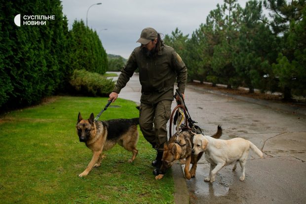 “Собака-поводир — краще тростини”. Як незрячі ветерани вчаться довіряти тваринам. ветеран, військовий, незрячий, собака-поводир, інвалідність