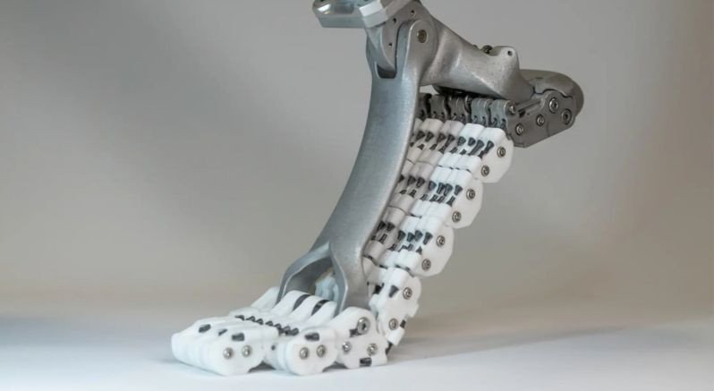 В Італії створили інноваційний протез стопи для людей та роботів. італія, пересування, протез softfoot pro, стопа, стійкість