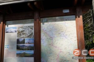 Світлина. Підкорили Говерлу на протезах – військові з Буковини піднялись на найвищу гору України. Реабілітація, протез, військовий, відновлення, Говерла, Мандротерапія