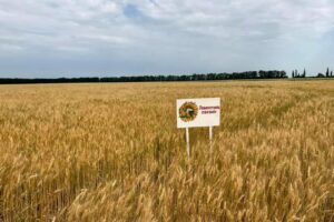 Агробезбар’єрність: Працевлаштування людей з інвалідністю на Ерастівській дослідній станції