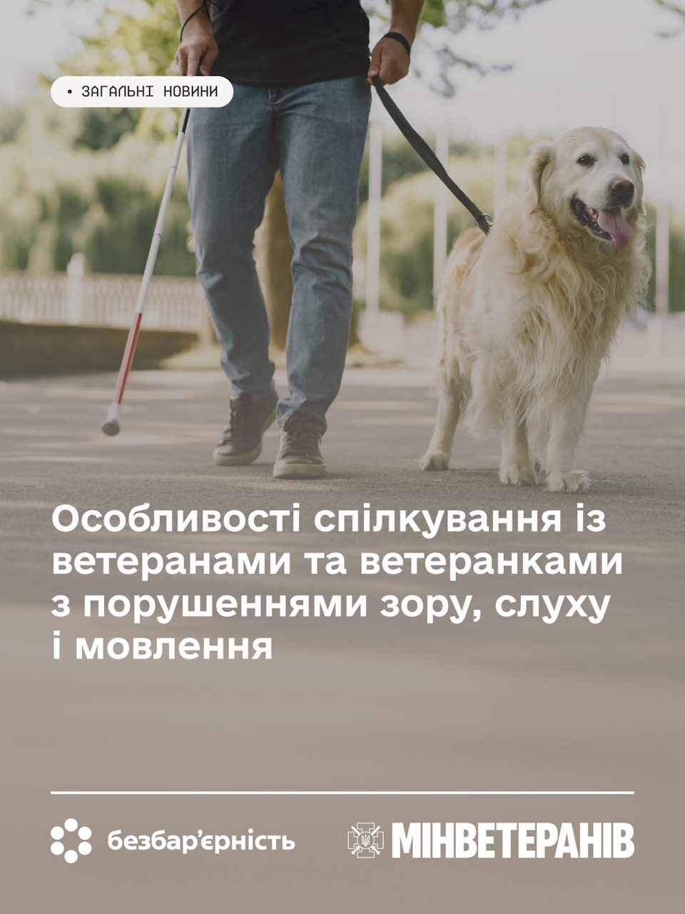 Особливості спілкування із ветеранами та ветеранками з порушеннями зору, слуху і мовлення. ветеран, порушення зору, порушення мовлення, порушення слуху, спілкування
