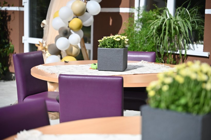 У Тячеві запрацювала інклюзивна кондитерська-кав’ярня «Шоколад». інвалідність, кондитерська-кавʼярня шоколад, професія, самореалізація, тячів