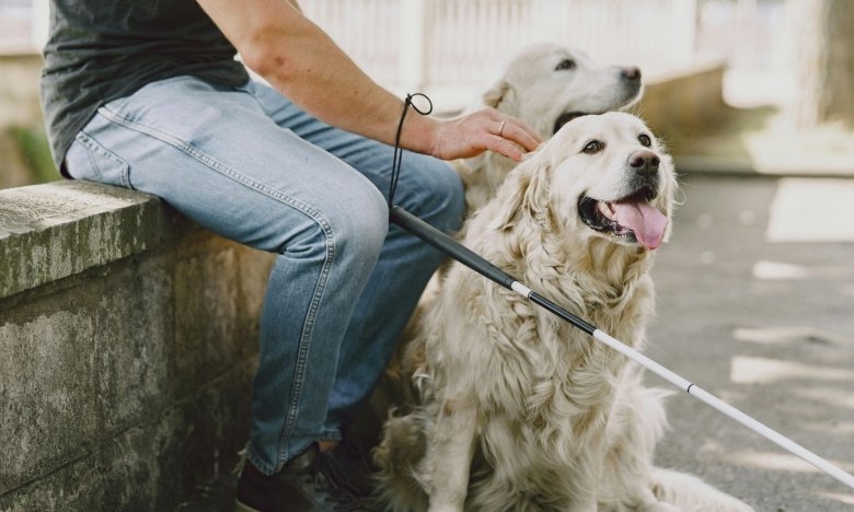 Символ свободи, а не інвалідності: 5 фактів про білу тростину, які має знати кожен українець. інвалідність, міжнародний день білої тростини, незрячий, сліпота, суспільство