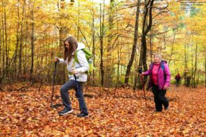 Світлина. Ветерани на протезах піднялися на найвищу вершину Львівщини — гору Пікуй. Реабілітація, протез, ветеран, сходження, гора Пікуй, проєкт Терапія мандрами