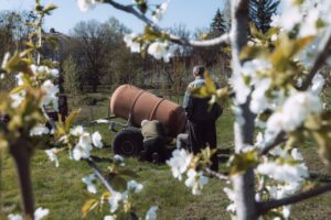 Безбар’єрний простір: як Знам’янська здравниця поєднує високі стандарти реабілітації з інклюзією у сфері праці