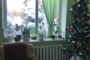 Світлина. Притулок для маломобільних ВПО: в області започаткували надання нової соціальної послуги. Новини, послуга, проєкт, ВПО, Буковина, притулок