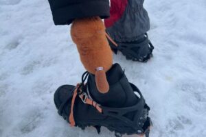 Світлина. «Мандротерапія» на Говерлі: ветерани на протезах подолали складний зимовий маршрут. Реабілітація, протез, ветеран, Говерла, сходження, Мандротерапія