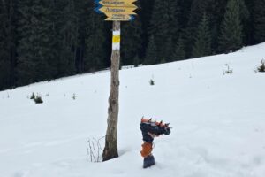 Світлина. «Мандротерапія» на Говерлі: ветерани на протезах подолали складний зимовий маршрут. Реабілітація, протез, ветеран, Говерла, сходження, Мандротерапія